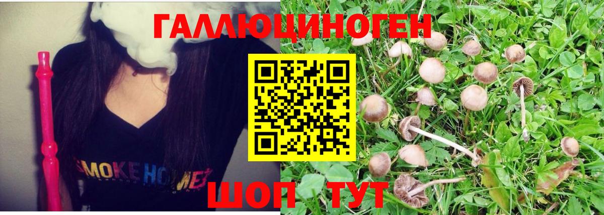 Вязьма  МАРИХУАНА  Конопля  Вход с VPN  Мефедрон   ТГК  Гашиш  КОКАИН 